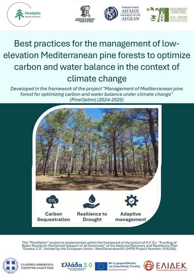 Best practices for the management of low-elevation Mediterranean pine forests to optimize carbon and water balance in the context of climate change